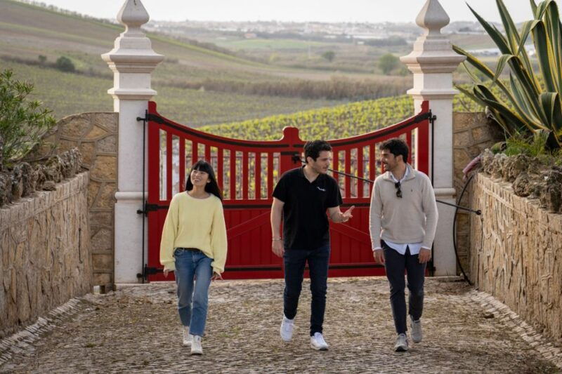 from-lisbon-sintra-with-pena-palace-winery-tour-tasting