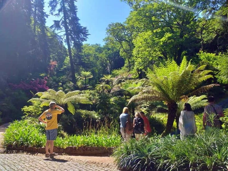 From Lisbon: Sintra's Historical and Natural Gems - Transportation and Group Size