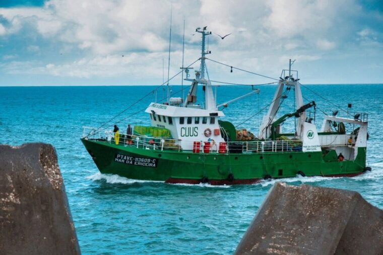 from-lisbon-tansfer-to-porto-with-stops-until-3-cities