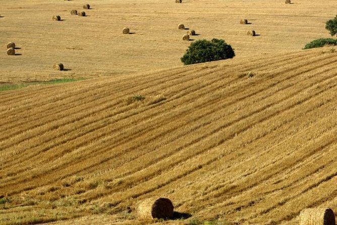 From Lisbon to Alentejo: Évora and Megaliths Full-Day Tour - What Makes This Tour Special?