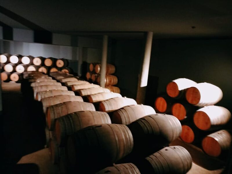 From Lisbon to Douro Valley with Stops up to 4 Cities - Who Will Love This Tour?