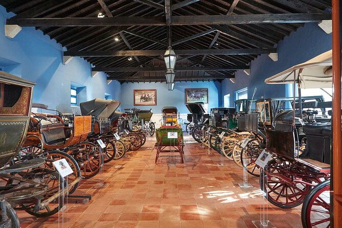 from-lisbon-to-evora-with-visits-and-wine-tasting-guided-tour