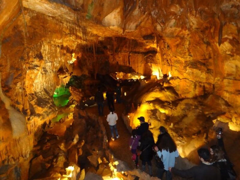 from-lisbon-tomar-templar-full-day-private-tour