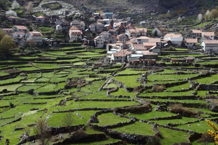 from-lisbon-tomar-templar-full-day-private-tour