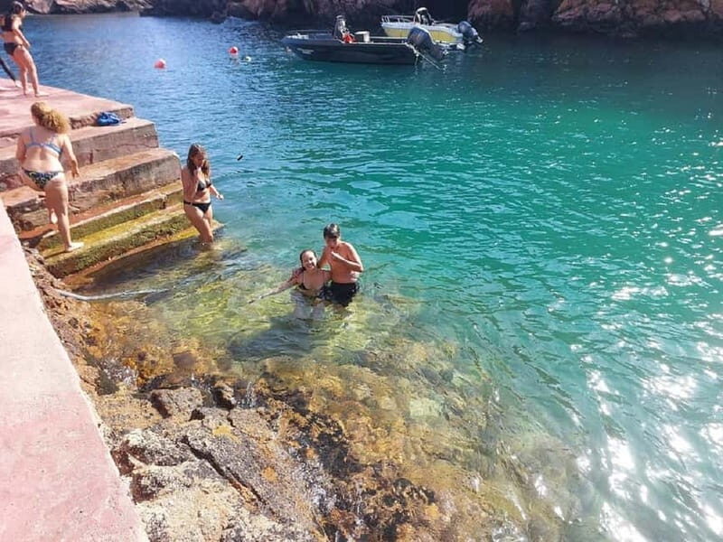 From Lisbon: Tour to Berlengas, a UNESCO natural reserve - Key Points