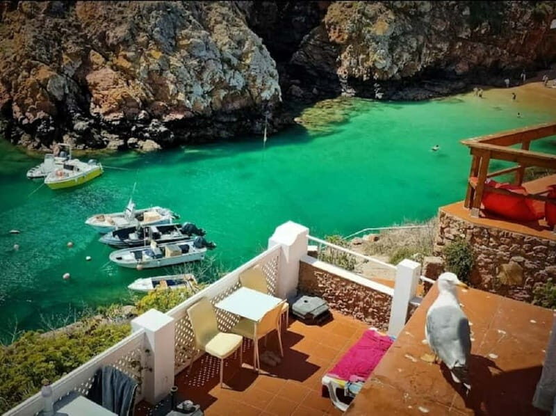 From Lisbon: Tour to Berlengas, a UNESCO natural reserve - Final Verdict