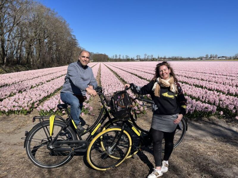 from-lisse-keukenhof-flower-fields-bike-tour