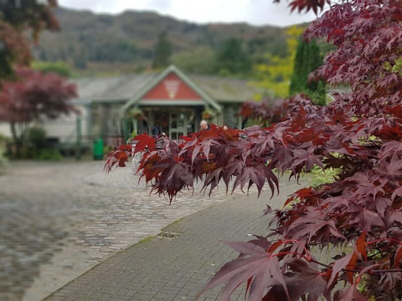 From Liverpool: Lake District Shore Excursion - Exploring Ambleside and Its Charms