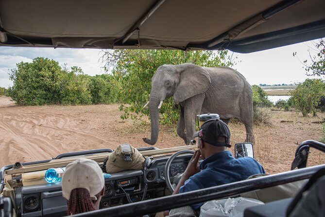 From Livingstone, Victoria Falls or Kasane - Chobe Day Tour - Border Crossing and Immigration