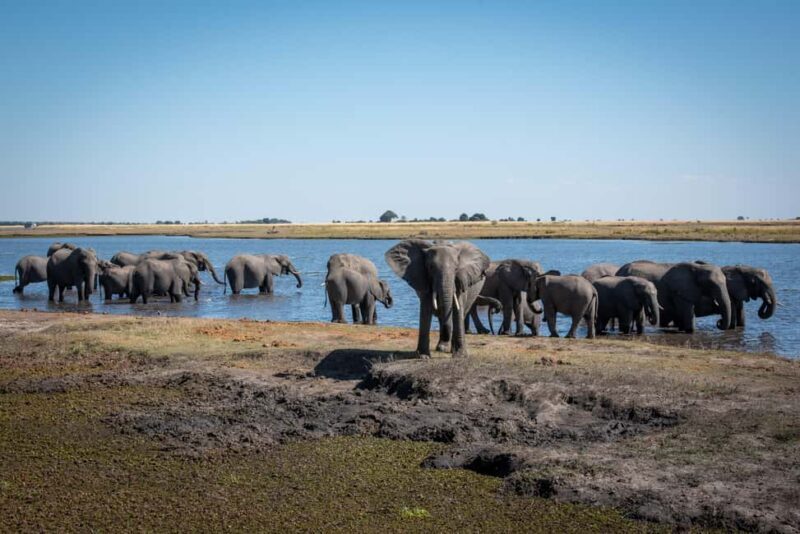 From Livingstone & Victoria Falls: Rafting & Safari Combo - Final Thoughts