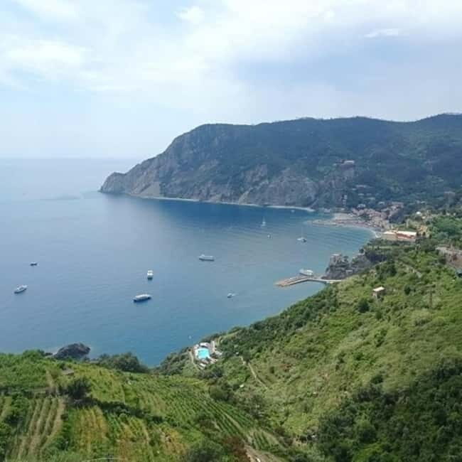 From Livorno: Accessible Cinque Terre and Pisa Private Trip - An In-Depth Review of the Livorno Accessible Cinque Terre & Pisa Tour  