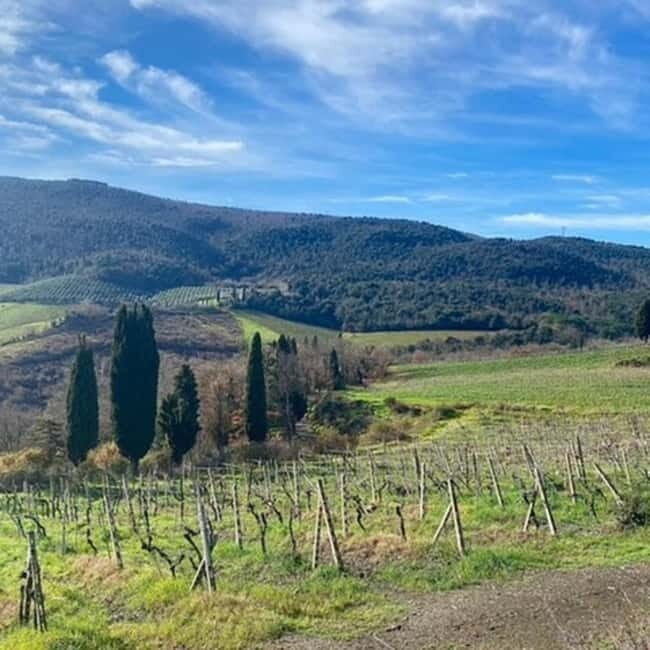 From Livorno: San Gimignano and Volterra Day Trip - Key Points