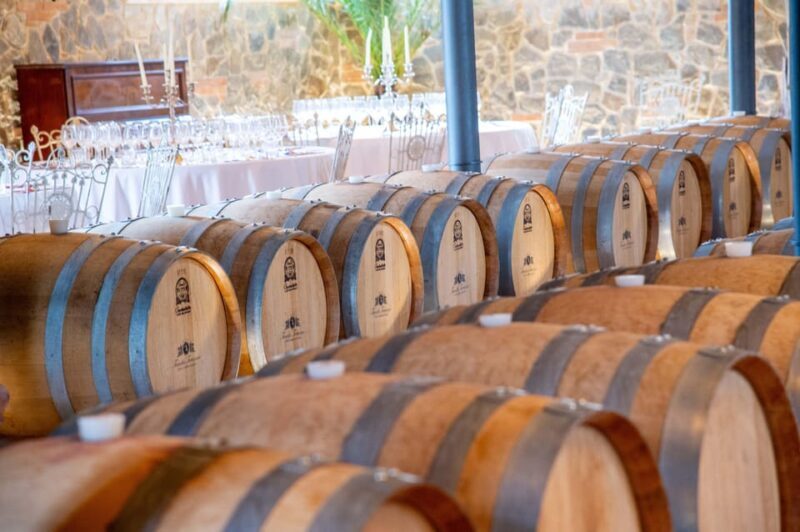 From Livorno: San Gimignano with Lunch and Tasting - Who Is This Tour Best For?