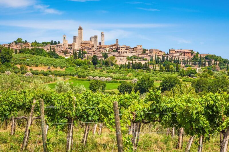From Livorno: San Gimignano with Lunch and Tasting - Final Thoughts
