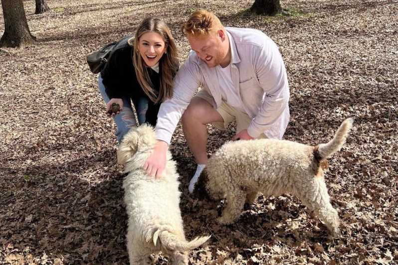 from-livorno-truffle-hunting-with-lunch-wine-tasting