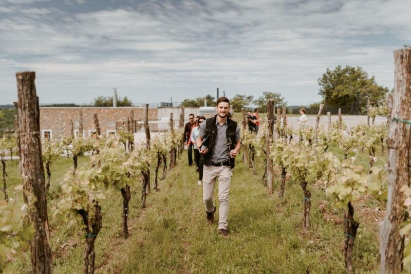 from-ljubjana-slovenian-wine-tour