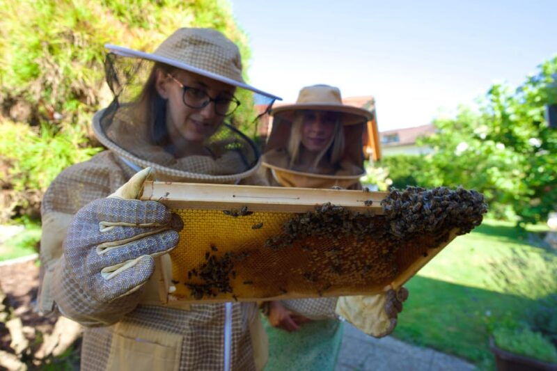 from-ljubljana-all-about-bees