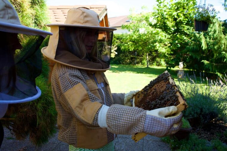 from-ljubljana-all-about-bees