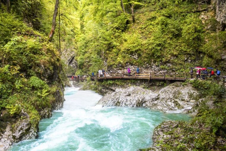 from-ljubljana-day-trip-to-bled-and-vintgar-gorge