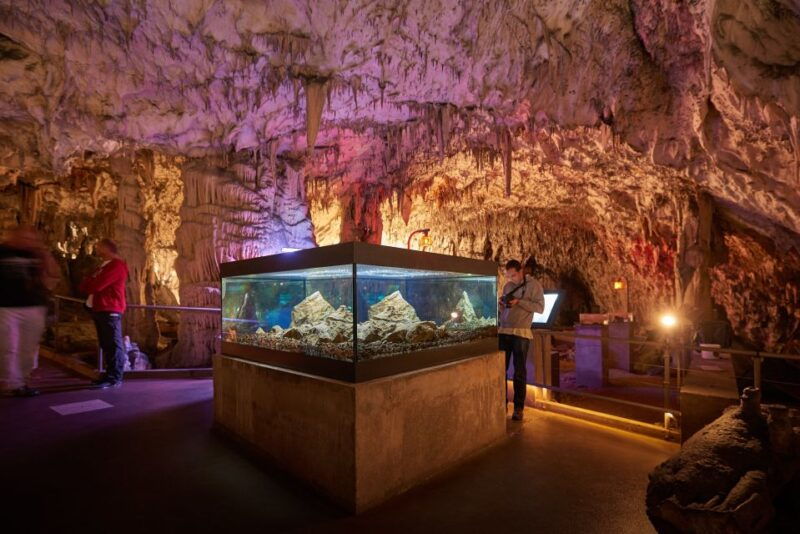 from-ljubljana-lake-bled-postojna-cave-with-entry-tickets