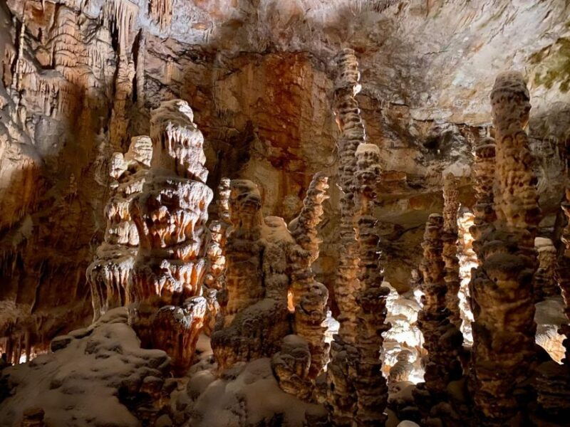 from-ljubljana-postojna-cave-day-trip