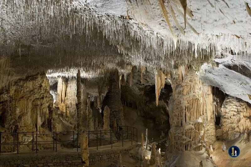 From Ljubljana: Postojna Cave, Predjama Castle, & Piran Tour - Practical Tips for Your Day