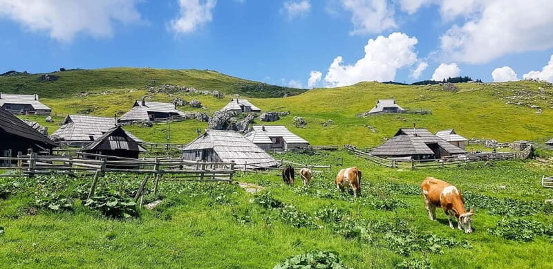 From Ljubljana: Velika Planina Guided Hike - Scenic Walks and Viewpoints