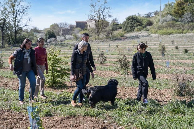 From location: Truffle farm visit, culinary workshop, meal - A Look at the Experience: Truffle Farm to Fine Dining
