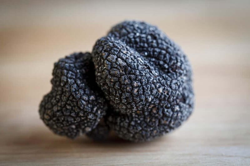 From location: Truffle farm visit, culinary workshop, meal - Final Thoughts