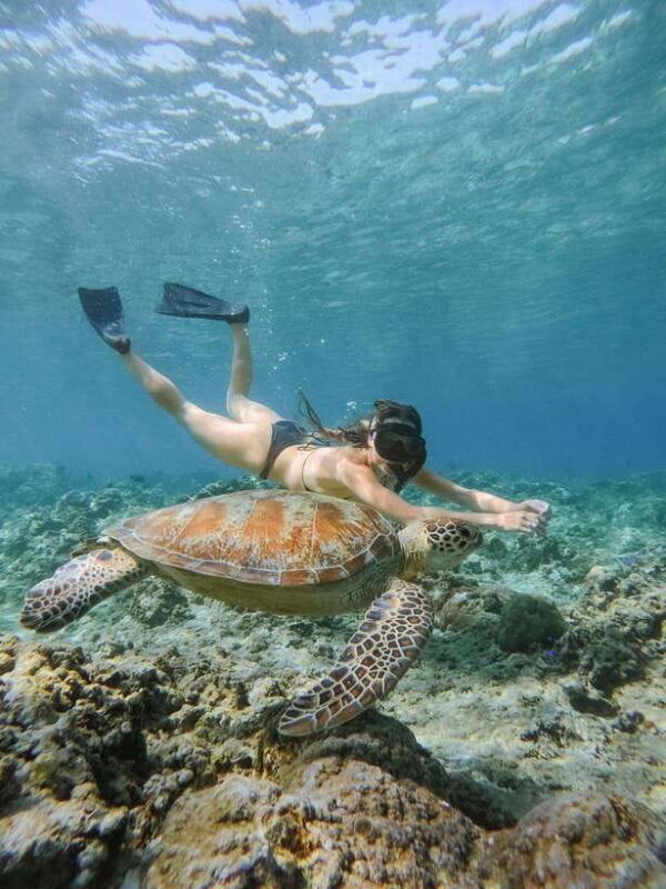 from-lombok-3-gili-islands-private-snorkeling-adventure