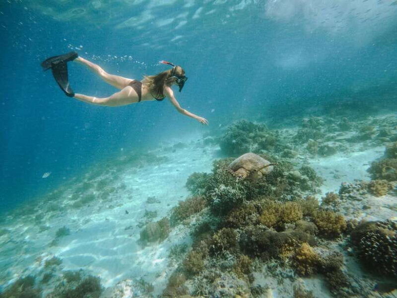 from-lombok-3-gili-islands-private-snorkeling-adventure
