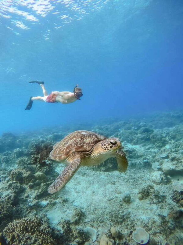 from-lombok-3-gili-islands-private-snorkeling-adventure