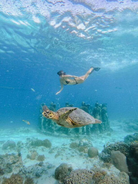 from-lombok-3-gili-islands-private-snorkeling-adventure