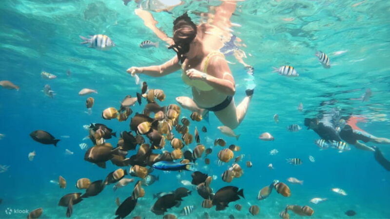 from-lombok-a-day-tour-to-gili-nangu-sudak-kedis