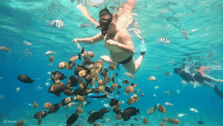 from-lombok-a-day-tour-to-gili-nangu-sudak-kedis