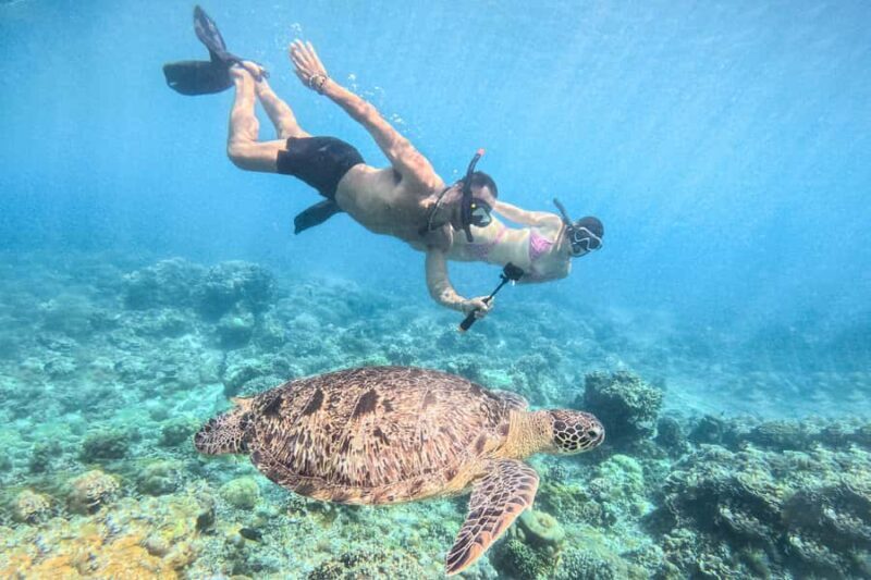 From Lombok: Full-Day Gili Gede, Rengit, & Layar Island Tour - An In-Depth Look at the Tour Experience