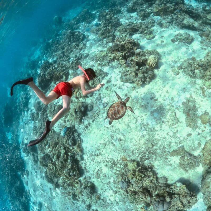 From Lombok: Gili Islands Private Snorkeling & Turtle Tour - FAQ