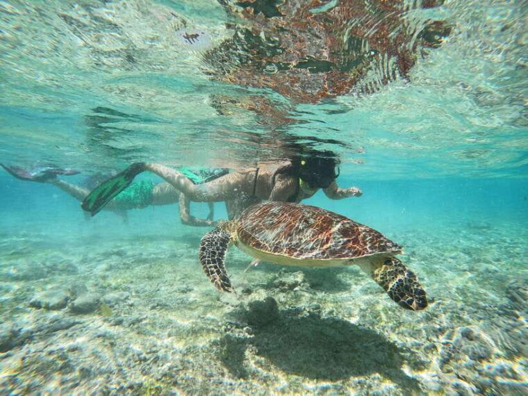 from-lombok-gili-islands-snorkeling-day-trip