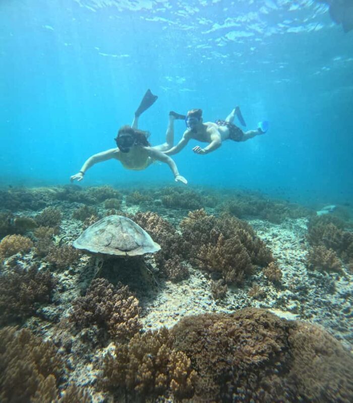 From Lombok Private Snorkeling 3 Gili All Inclusive - Key Points