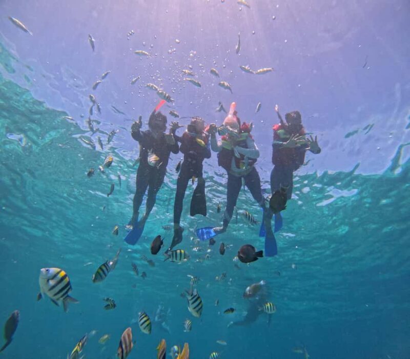 From Lombok Private Snorkeling 3 Gili All Inclusive - Discovering the Gili Islands: A Deep Dive into the Snorkeling Tour