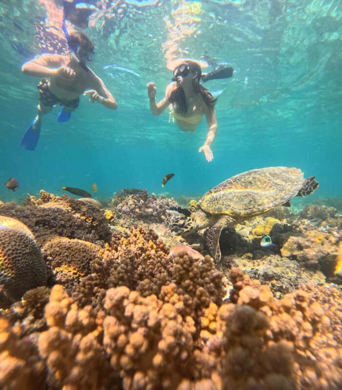 From Lombok Private Snorkeling 3 Gili All Inclusive - Final Thoughts: Who Will Love This Tour?