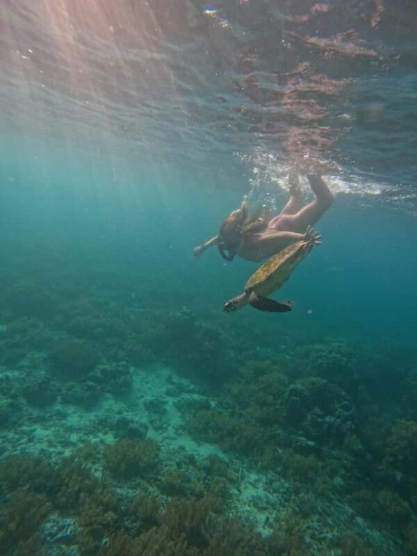 From Lombok Private Snorkeling 3 Gili All Inclusive - FAQ