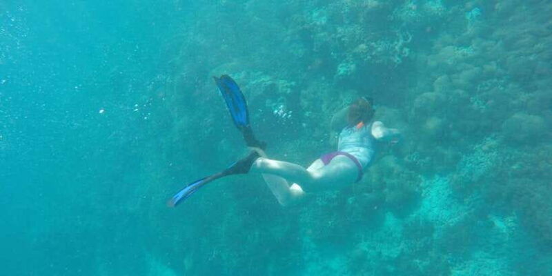 from-lombok-southern-gilis-private-snorkelling-day-trip