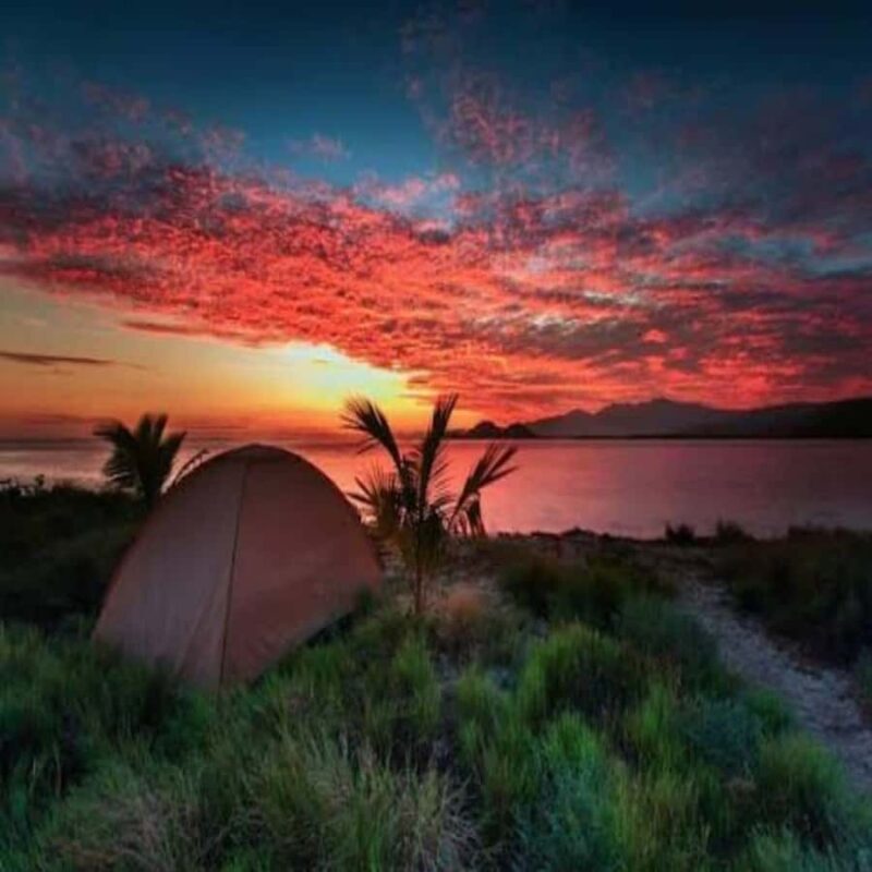 From Lombok Sumbawa 4-Day Moyo, Whale Sharks, & Satonda Tour - Key Points