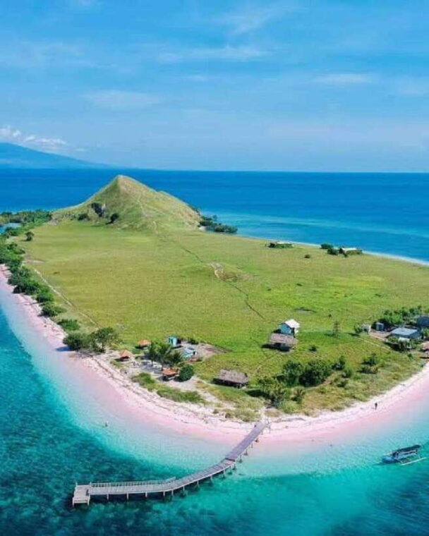from-lomboksumbawa-whale-shark-tour-2d1n