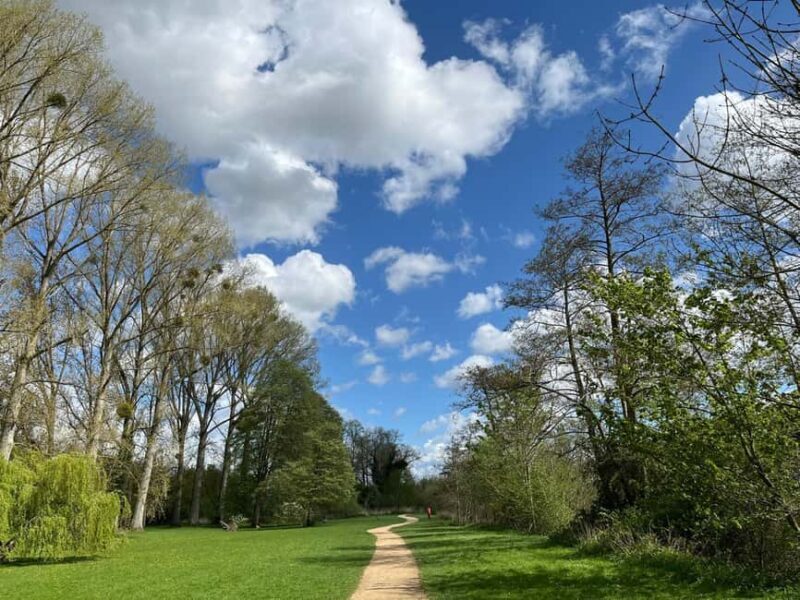 From London: Private Guided Walking & Fine Dining Tour - Detailed Itinerary Breakdown