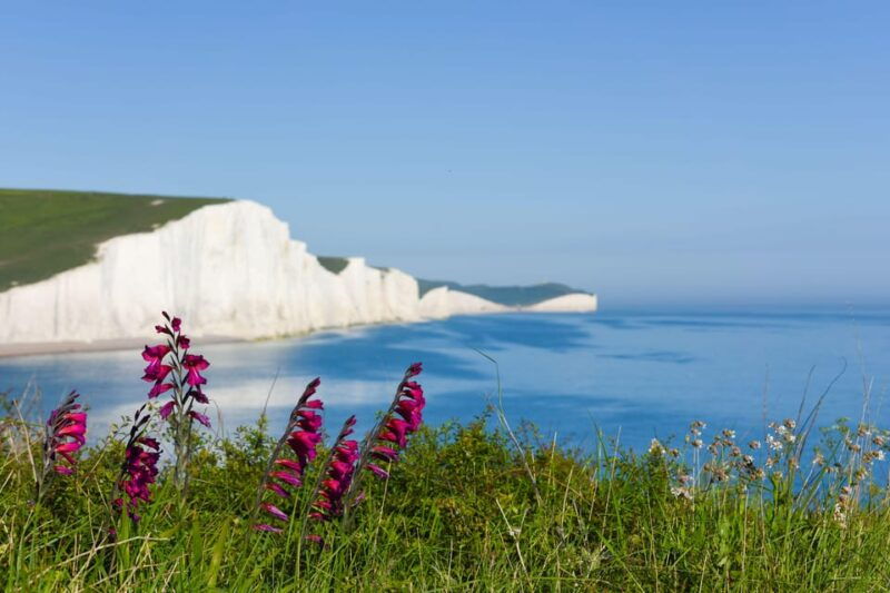 from-london-seven-sisters-and-brighton-full-day-tour