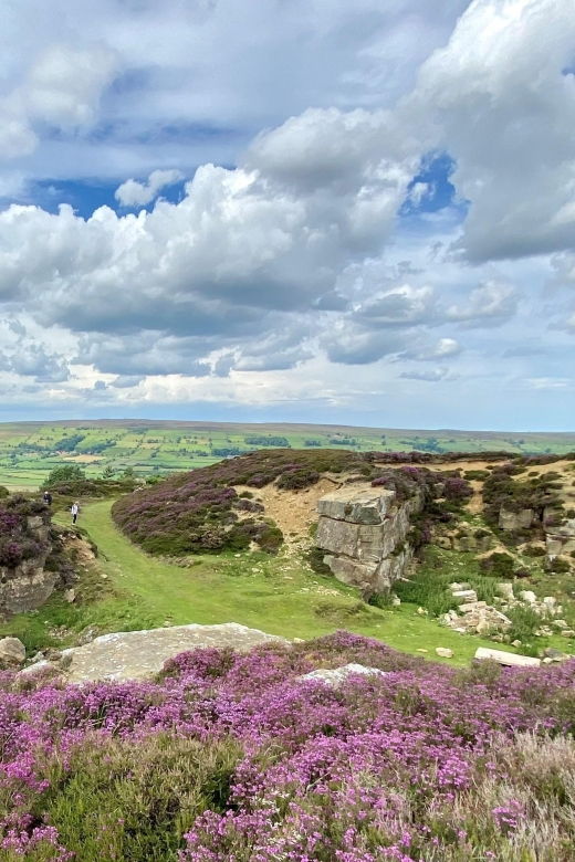 from-london-the-north-york-moors-with-steam-train-to-whitby