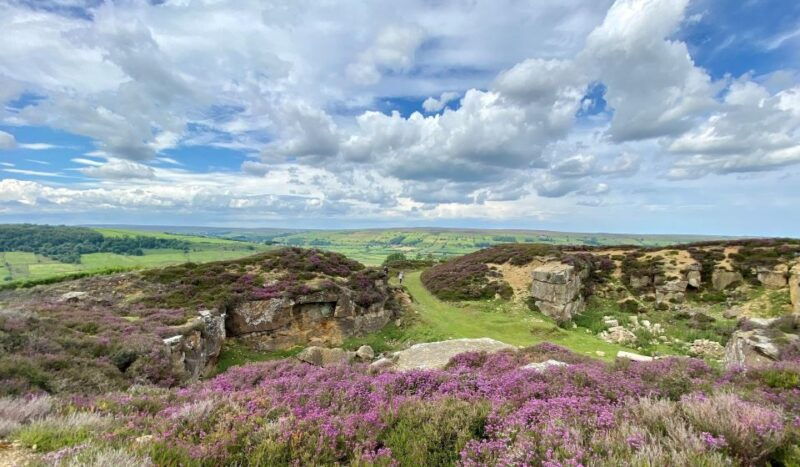 from-london-the-north-york-moors-with-steam-train-to-whitby