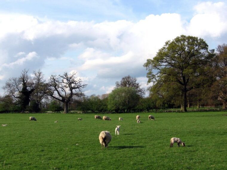 from-london-warwick-castle-stratford-oxford-day-tour